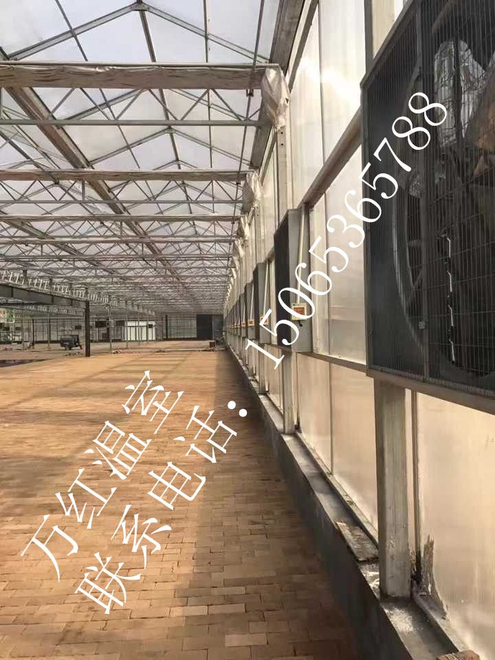 濟甯花(huā)卉溫室大棚内部圖