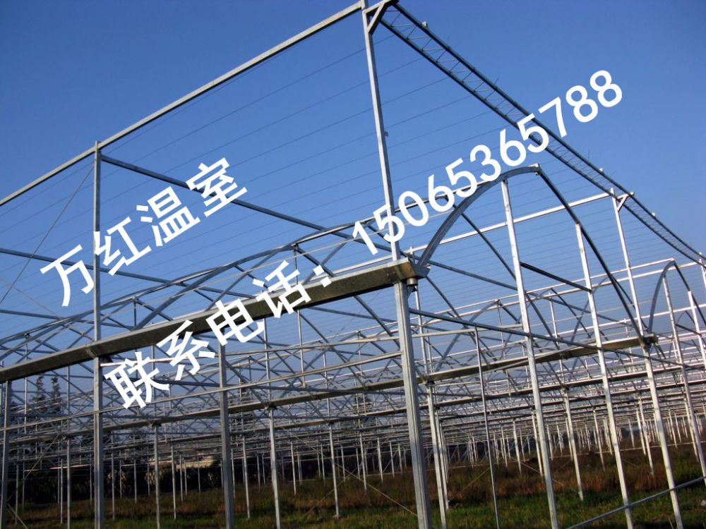 德(dé)州景輝得利花(huā)卉苗木(mù)溫室大棚
